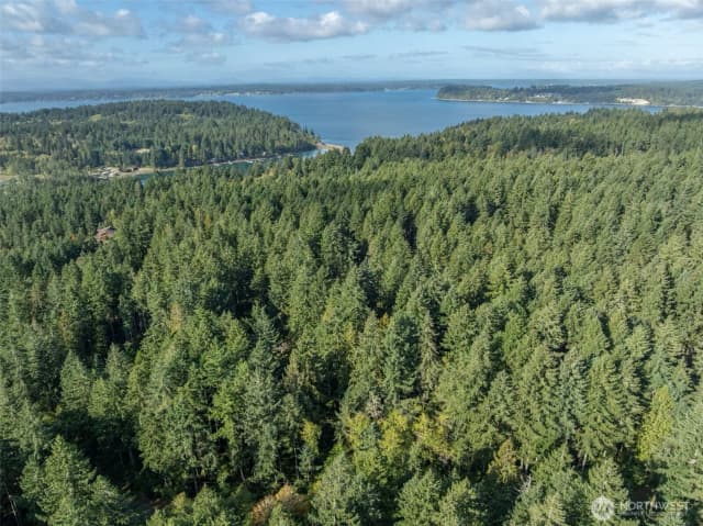 Property photo for 10602 Vantage Drive, Anderson Island photo 3