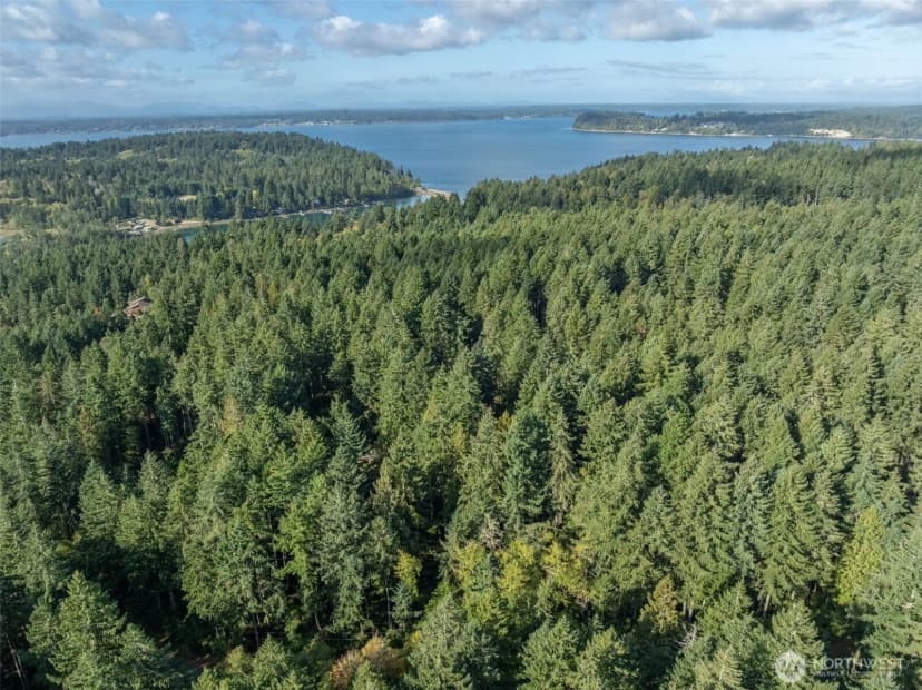 Property photo for 10602 Vantage Drive, Anderson Island photo 3