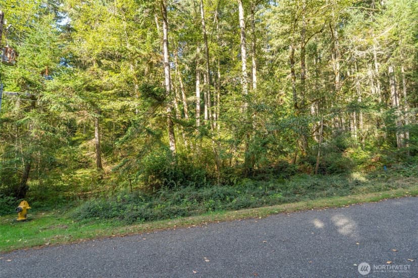 Property photo for 10602 Vantage Drive, Anderson Island