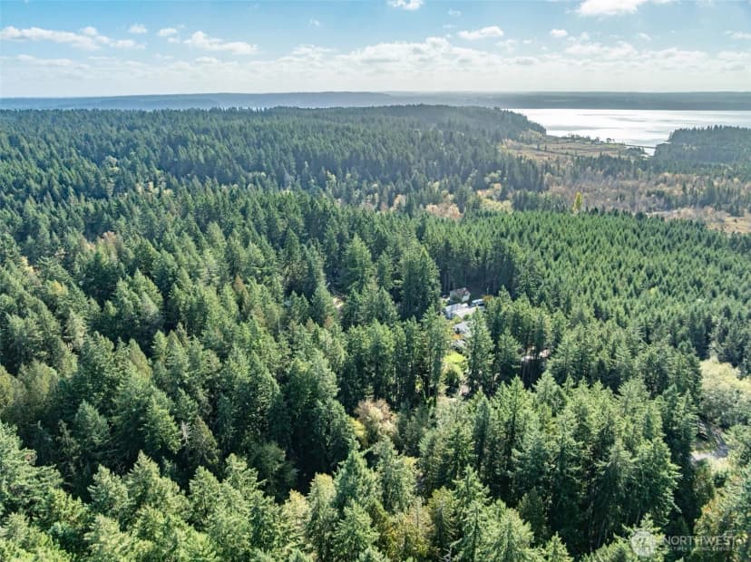 Property photo for 10602 Vantage Drive, Anderson Island photo 5