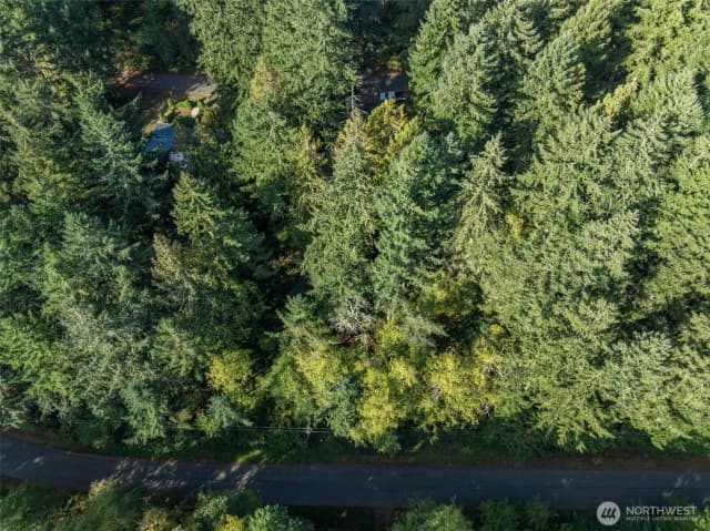 Property photo for 10602 Vantage Drive, Anderson Island photo 2