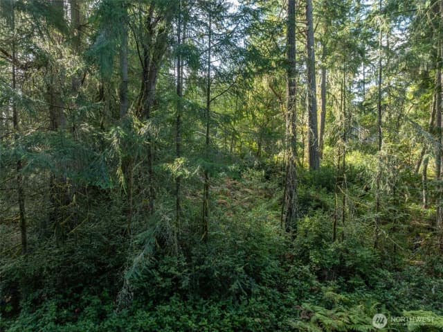 Property photo for 11316 Breaker Way, Anderson Island photo 4