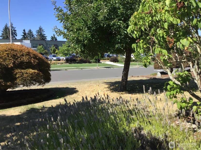 Property photo for 32528 26th Avenue Sw, Federal Way photo 6