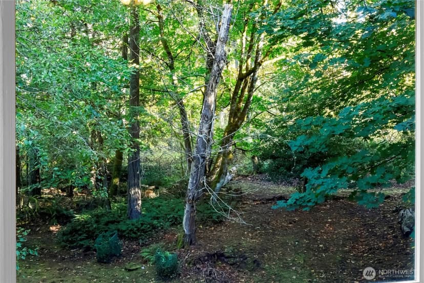 Property photo for 5755 Blakely Avenue Ne, Bainbridge Island photo 7