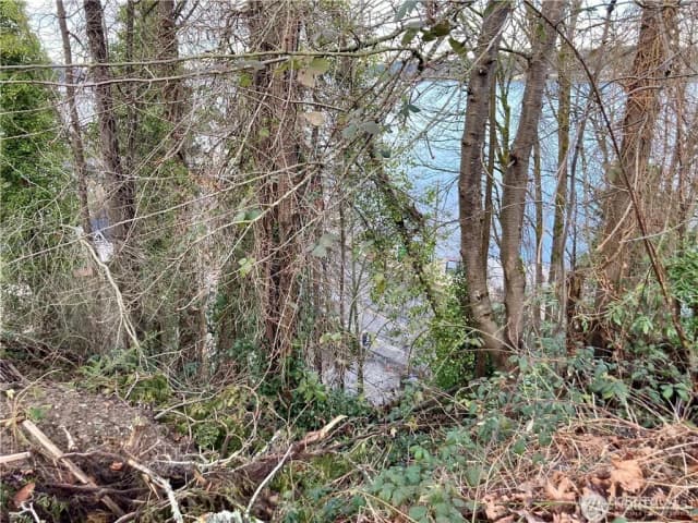 Property photo for 97 Xx Arrowsmith Avenue S, Seattle photo 5