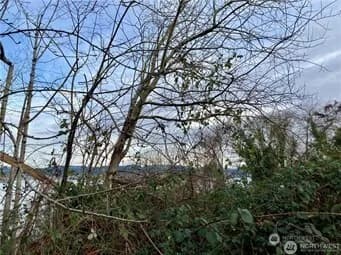 Property photo for 97 Xx Arrowsmith Avenue S, Seattle photo 4