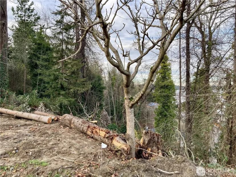 Property photo for 97 Xx Arrowsmith Avenue S, Seattle photo 6