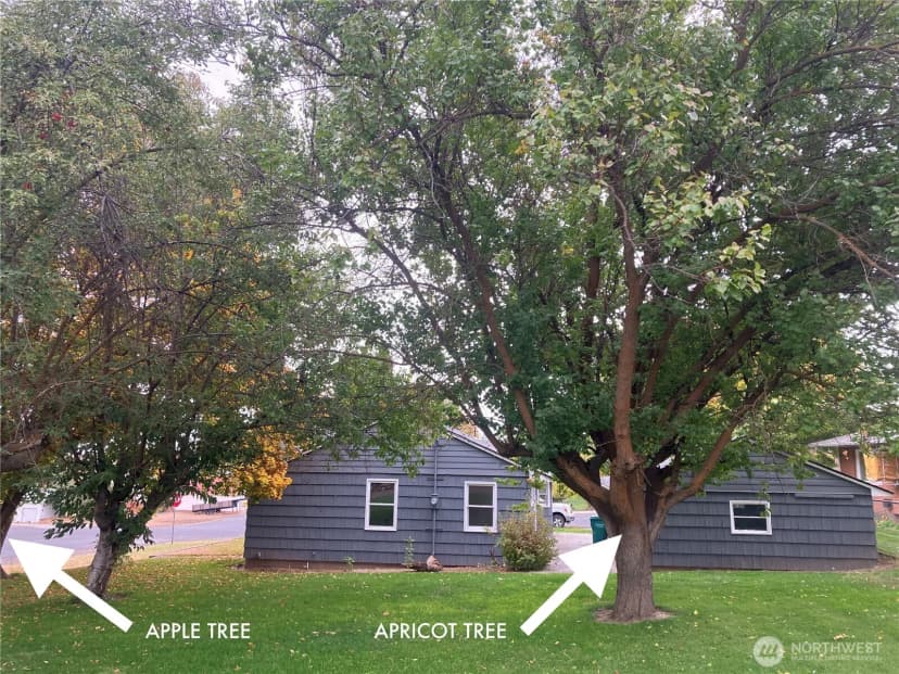 Property photo for 403 W Chestnut Street, Almira photo 29