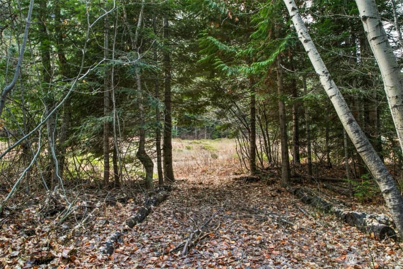 Property photo for 0 Xxx 0, Leavenworth photo 7