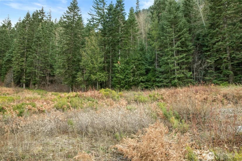 Property photo for 0 Xxx 0, Leavenworth photo 8