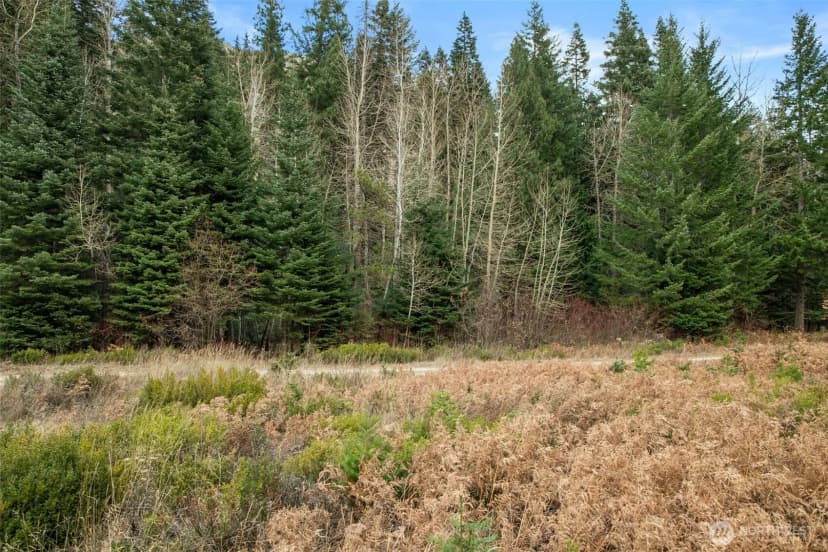 Property photo for 0 Xxx 0, Leavenworth photo 10