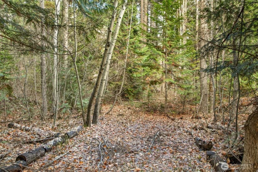 Property photo for 0 Xxx 0, Leavenworth photo 6