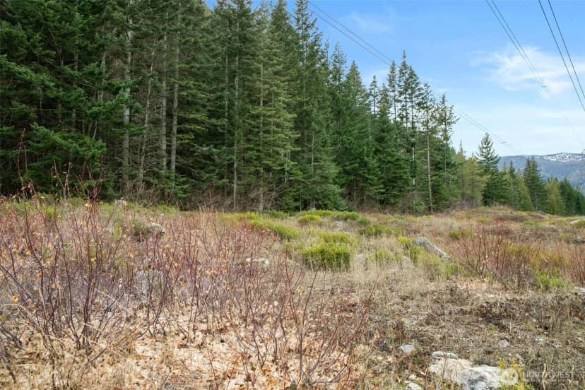 Property photo for 0 Xxx 0, Leavenworth photo 15