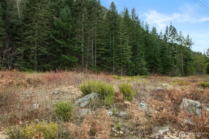 Property photo for 0 Xxx 0, Leavenworth photo 9