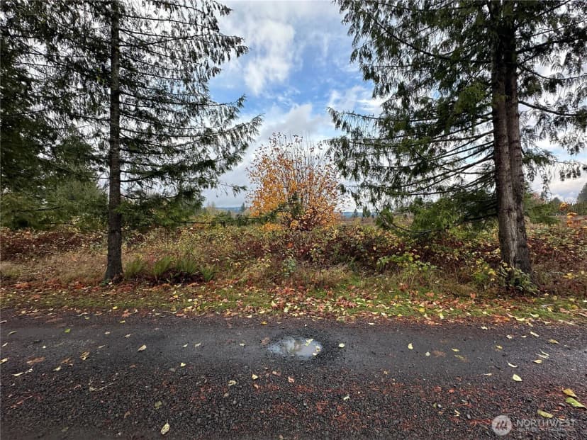 Property photo for 184 Markum Lane, Winlock photo 28