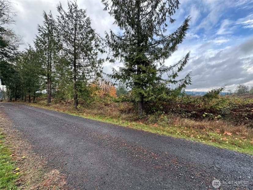Property photo for 184 Markum Lane, Winlock photo 29