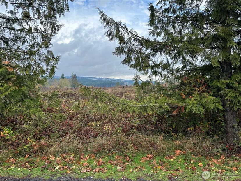 Property photo for 184 Markum Lane, Winlock photo 30