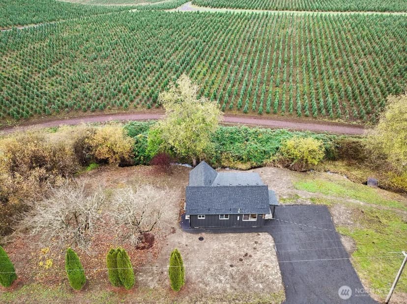 Property photo for 215 Swofford Road, Mossyrock photo 36