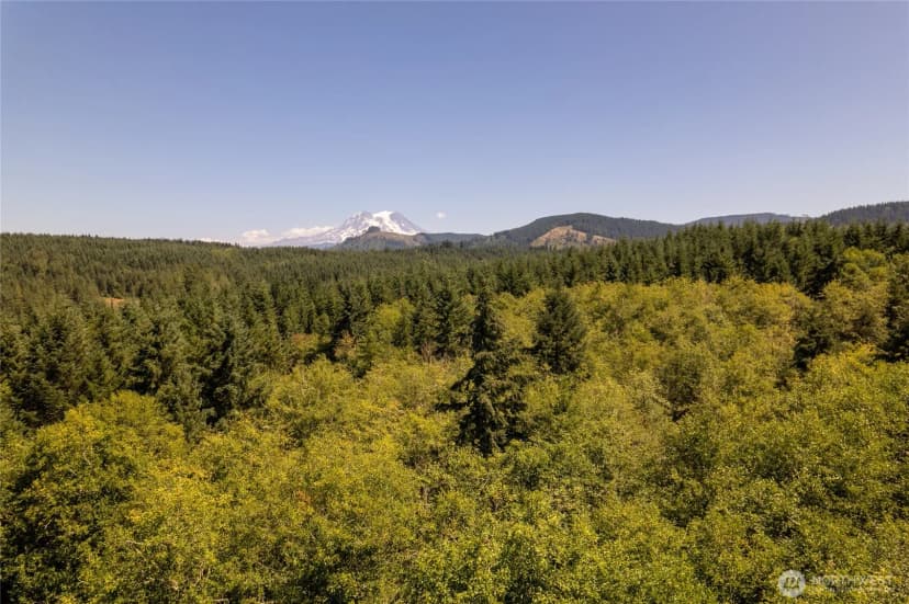 Property photo for 47655 138th Avenue E, Eatonville photo 39