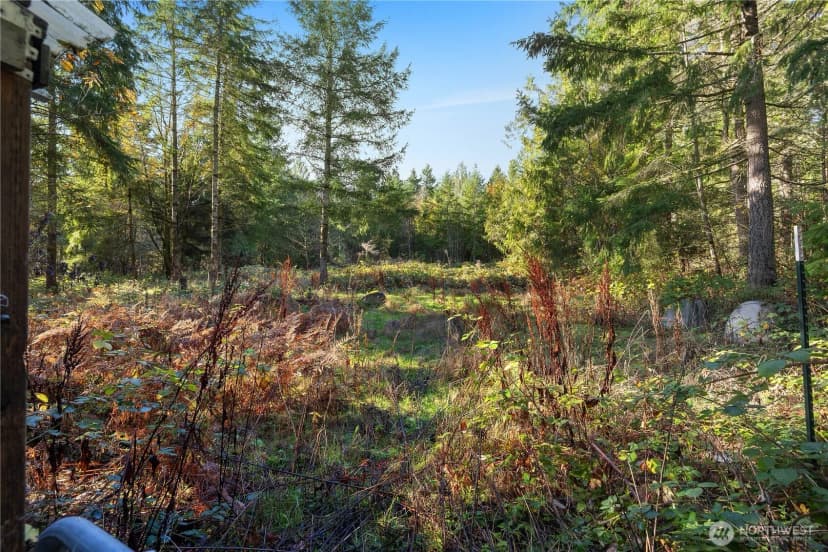 Property photo for 4125 Libby Road Ne, Olympia photo 33