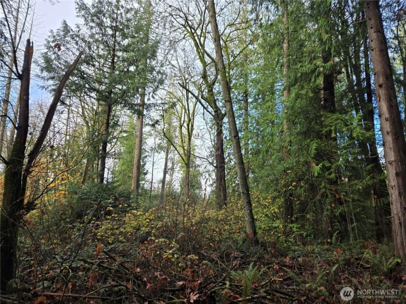 Property photo for 388 Xx 191st Avenue Se, Auburn photo 2