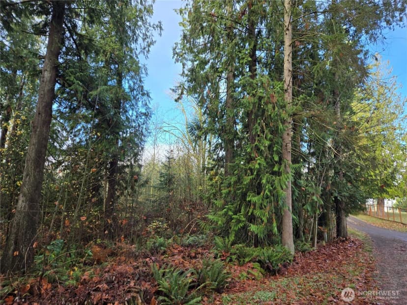 Property photo for 388 Xx 191st Avenue Se, Auburn photo 11
