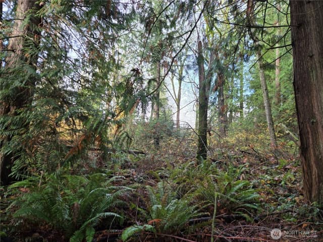 Property photo for 388 Xx 191st Avenue Se, Auburn photo 4