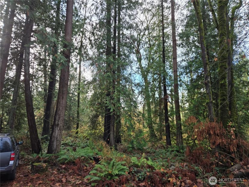 Property photo for 388 Xx 191st Avenue Se, Auburn