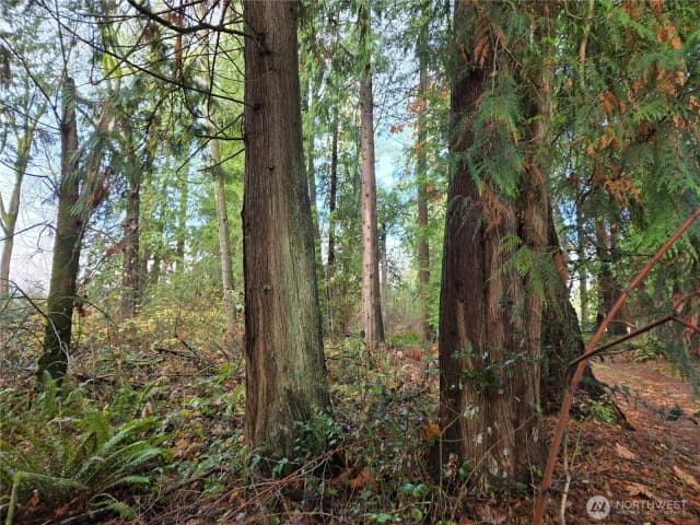 Property photo for 388 Xx 191st Avenue Se, Auburn photo 3