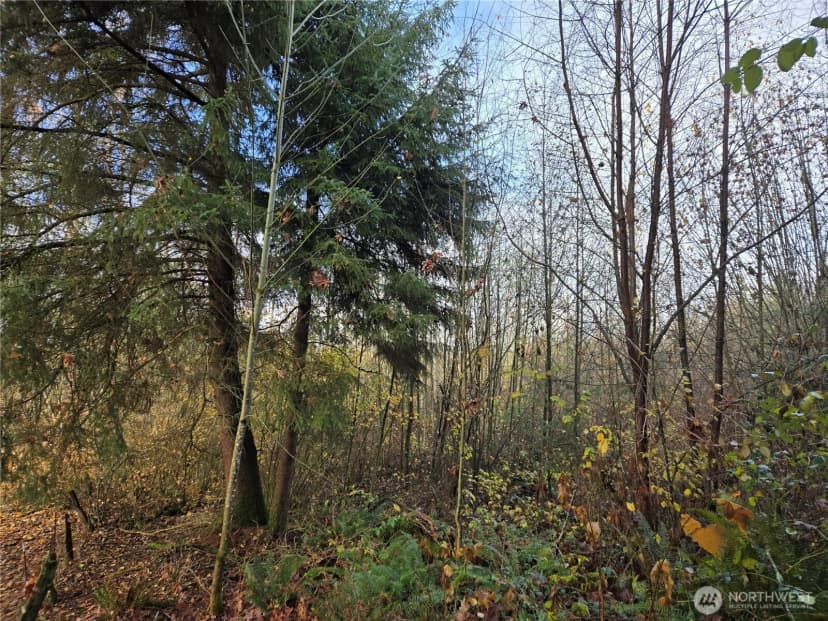Property photo for 388 Xx 191st Avenue Se, Auburn photo 18