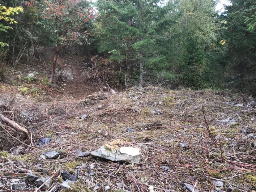 Property photo for 11939 New Morning Drive, Anacortes photo 26