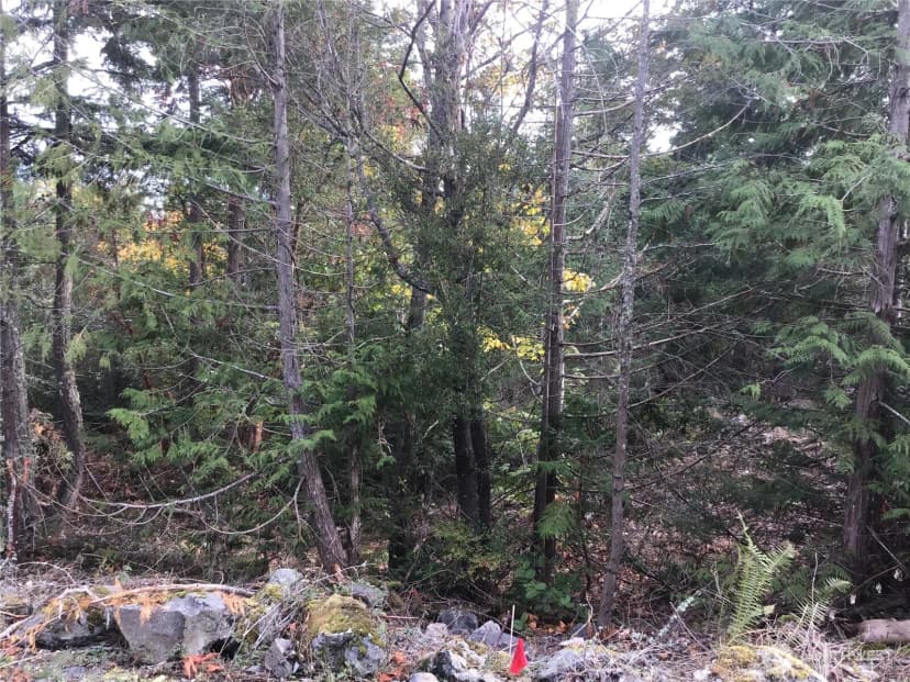 Property photo for 11939 New Morning Drive, Anacortes photo 21