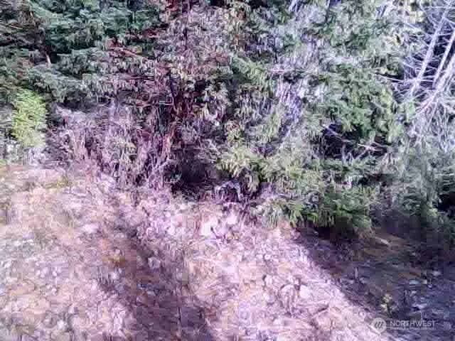 Property photo for 11939 New Morning Drive, Anacortes photo 31