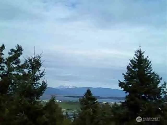Property photo for 11939 New Morning Drive, Anacortes photo 32