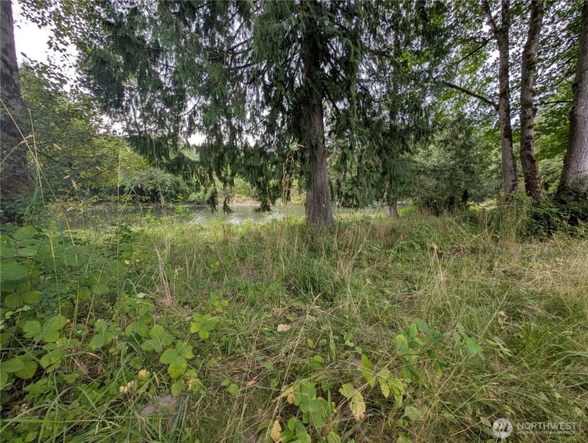 Property photo for 0 Trout Farm Road, Sultan photo 8