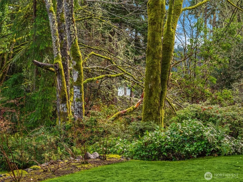 Property photo for 9705 Ne Beach Crest Drive, Bainbridge Island photo 38