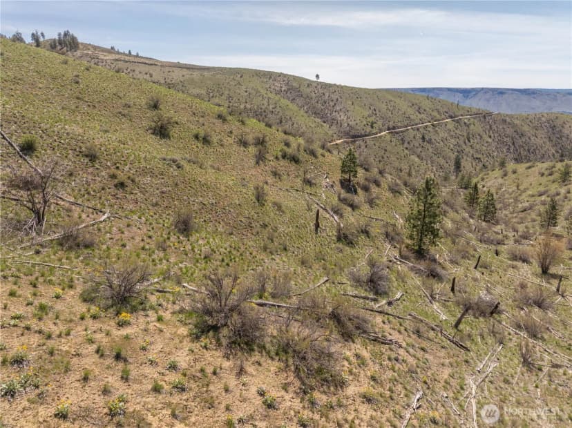 Property photo for 295 Hawks Ridge Road, Chelan photo 25