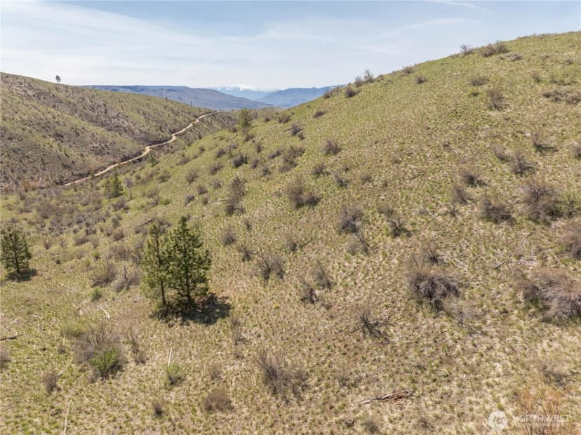 Property photo for 295 Hawks Ridge Road, Chelan photo 23
