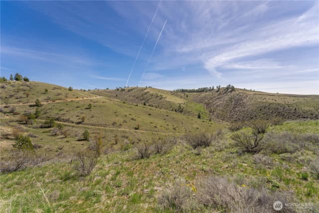 Property photo for 295 Hawks Ridge Road, Chelan photo 5