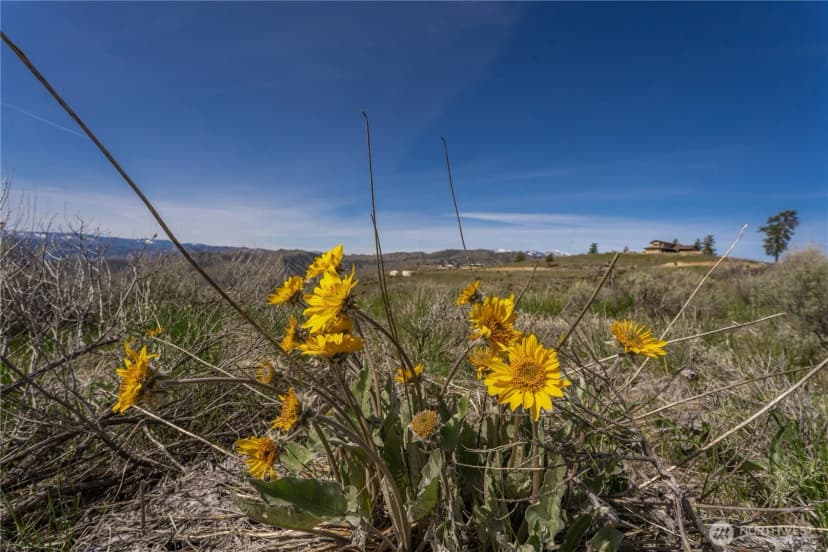 Property photo for 295 Hawks Ridge Road, Chelan photo 8