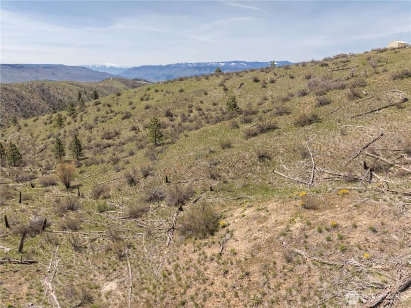 Property photo for 295 Hawks Ridge Road, Chelan photo 26