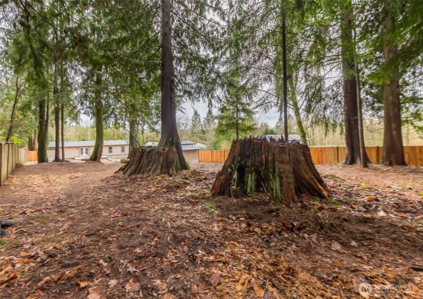 Property photo for 225 N. Lake Roesiger Road, Snohomish photo 38