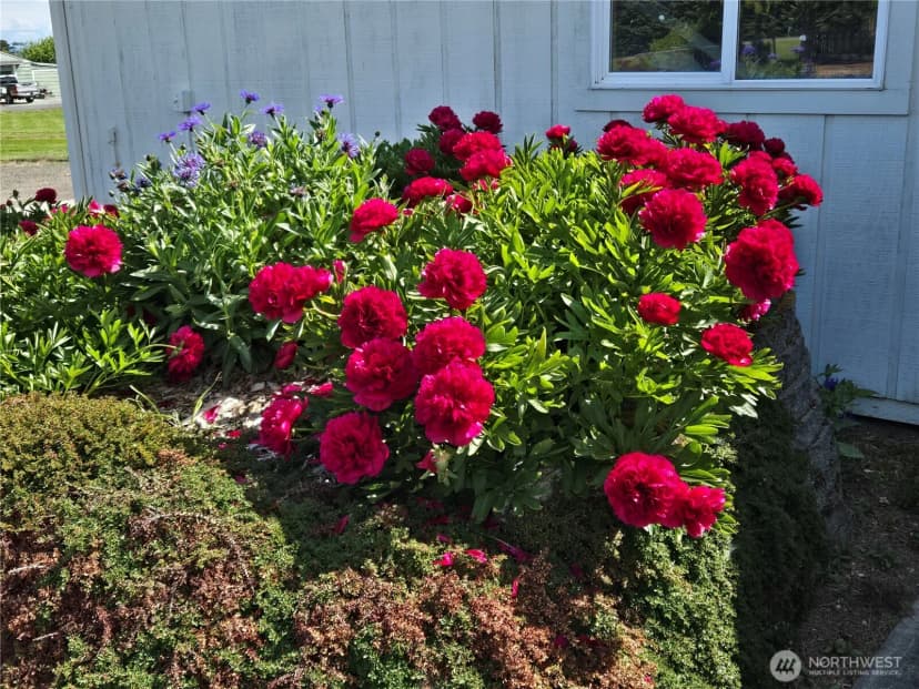 Property photo for 52 Libby Street, Sequim photo 31