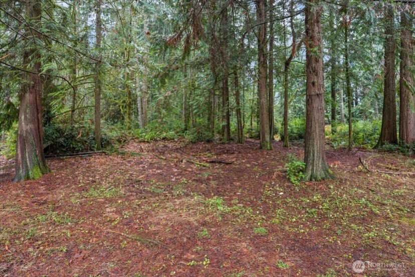Property photo for 1704 186th Avenue Nw, Lakebay photo 40