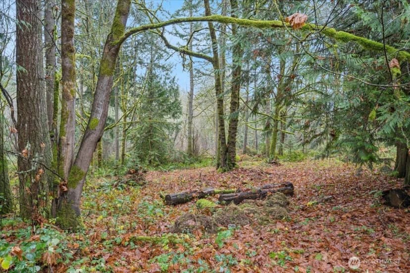 Property photo for 1704 186th Avenue Nw, Lakebay photo 5