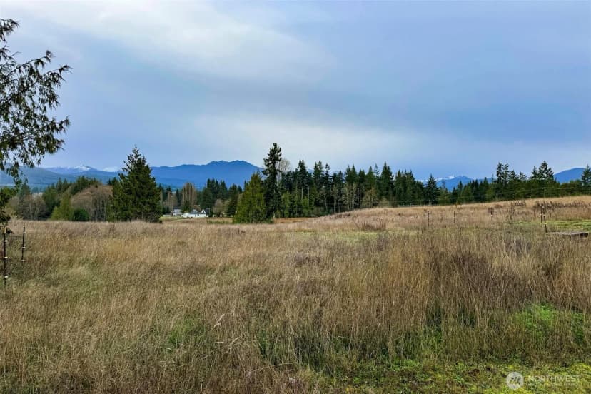 Property photo for 163 Cliff Robinson Lane, Sequim photo 35