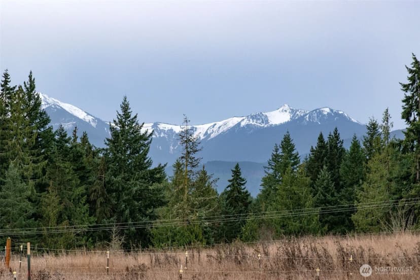 Property photo for 163 Cliff Robinson Lane, Sequim photo 32
