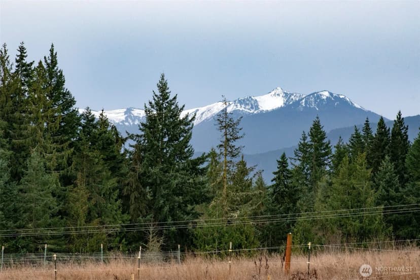 Property photo for 163 Cliff Robinson Lane, Sequim photo 33