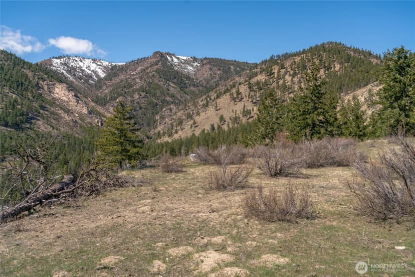 Property photo for 0 Granite Creek, Chelan photo 14