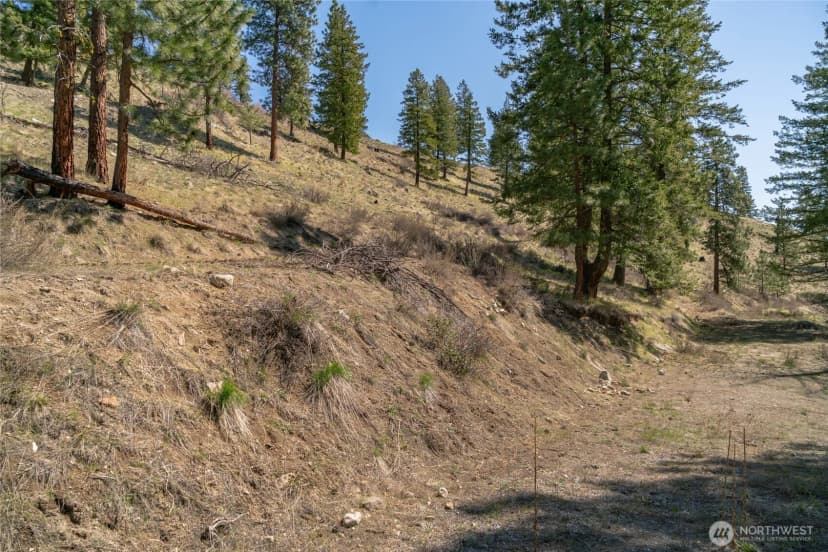 Property photo for 0 Granite Creek, Chelan photo 20